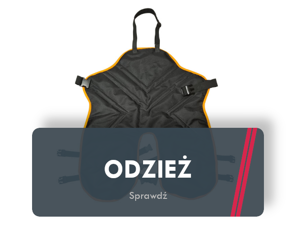 odzież